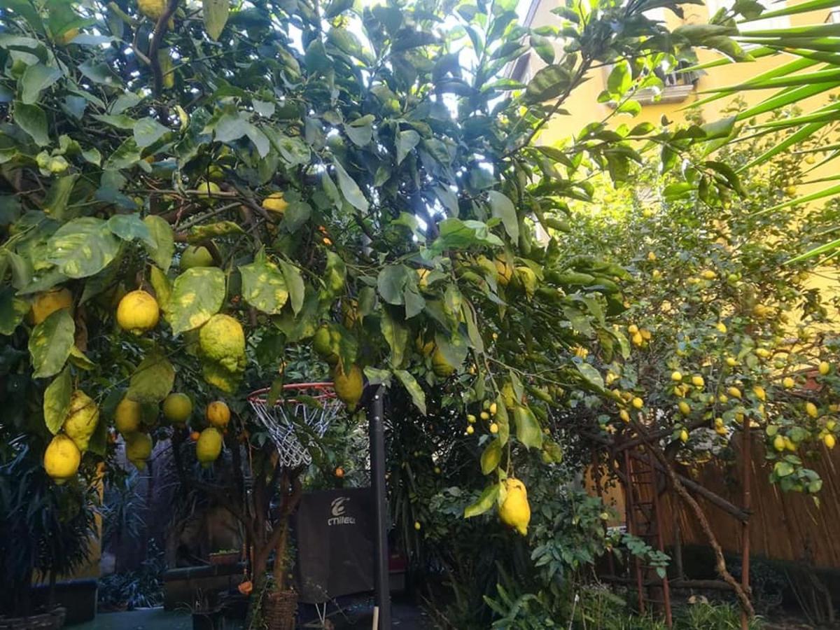 דירות נאפולי La Limonaia Di Chiaia מראה חיצוני תמונה