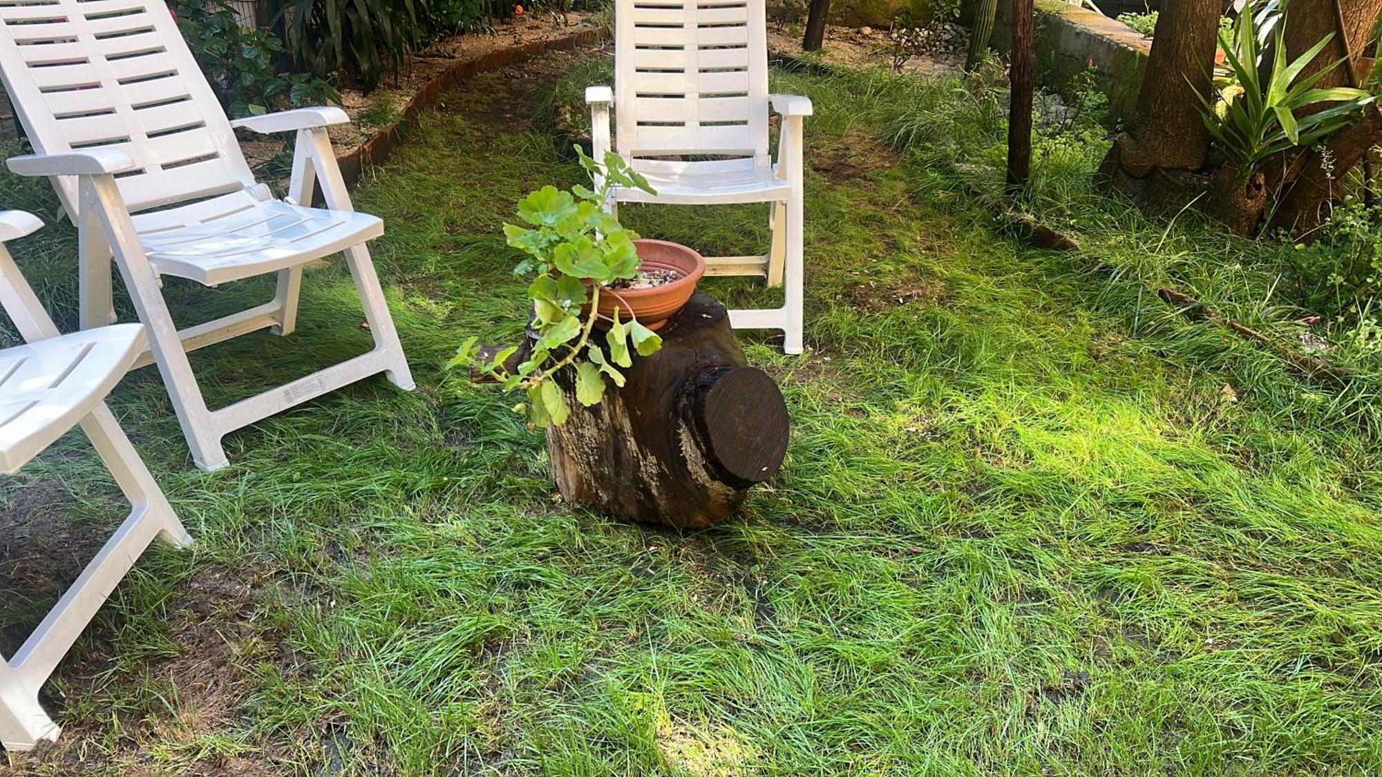 דירות נאפולי La Limonaia Di Chiaia מראה חיצוני תמונה